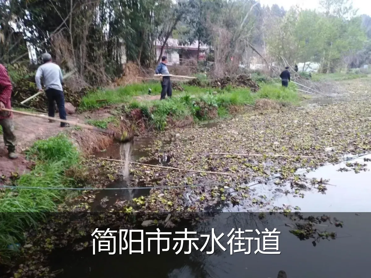 简阳市赤水街道